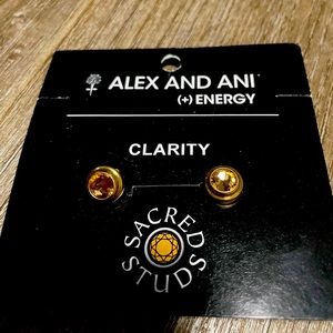 Alex and Ani Clarity Earrings